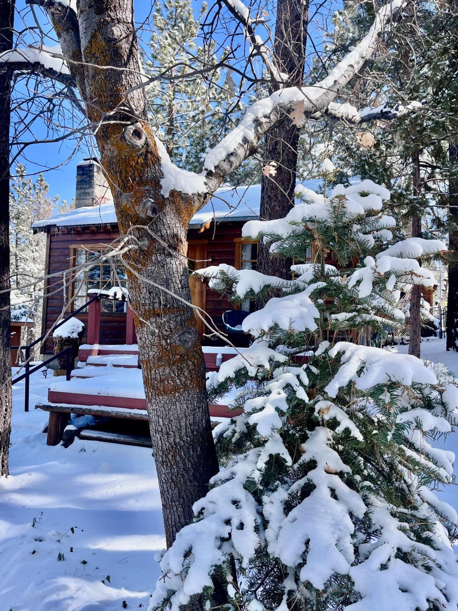 Вилла The Nest On Towne Trail - Hot Tub, Bbq, Fire Pit Биг Бэар Лейк Экстерьер фото